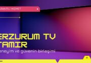 Erzurum Tv Tamir ve Onarım Servisi